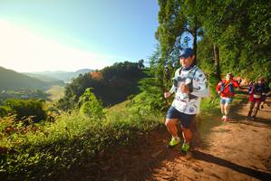 BIB: 
                            <button type="button" onclick="openModal(19174175)" class="btn btn-primary btn-sm float-right btn-popup" data-toggle="modal" data-target=".modal-high-quality">
                        <i class="fas fa-shopping-cart"></i> Add to Cart
                    </button>
                                            <button type="button" onclick="isThisMe(19174175, true)" class="btn btn-success btn-sm float-right btn-popup btn-isme hidden" data-toggle="tooltip" data-placement="bottom" title="นี่คือรูปของคุณใช่ไหม คลิกที่นี่เพื่อเอาเข้าอัลบั้ม">
                        <i class="fas fa-plus"></i> Add to album
                    </button>
                    <button type="button" onclick="isThisMe(19174175, false)" class="btn btn-warning btn-sm float-right btn-popup btn-isnotme hidden">
                        <i class="fas fa-ban"></i> Remove from album
                    </button>